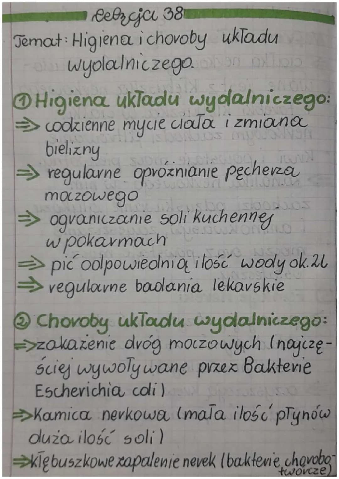 Higiena i choroby układu wydalniczego 