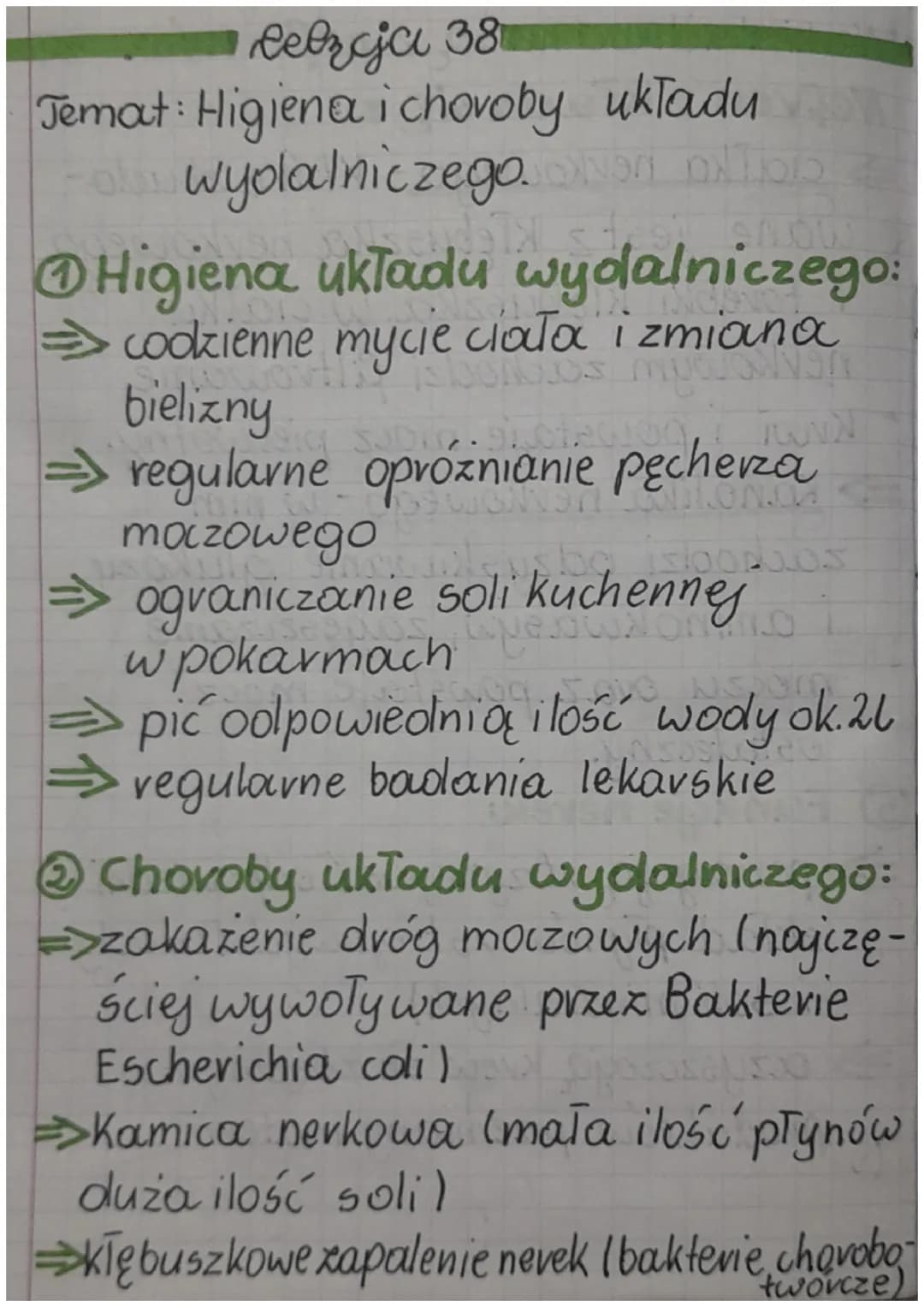 Celzcja 38
Temat: Higiena i choroby układu
wyolalniczego.
Mer
Higiena układu wydalniczego:
⇒codzienne mycie ciała i zmiana
bielizny
⇒ regula