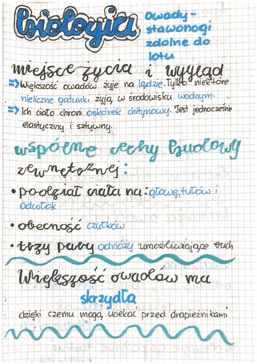 Corologica
Owady. +
stawonogi
zdolne do
lotu
miejsce zycia i wyylad
=> Większość owadów żyje na lądzie. Tylko niektore
nieliczne gatunki żyj
