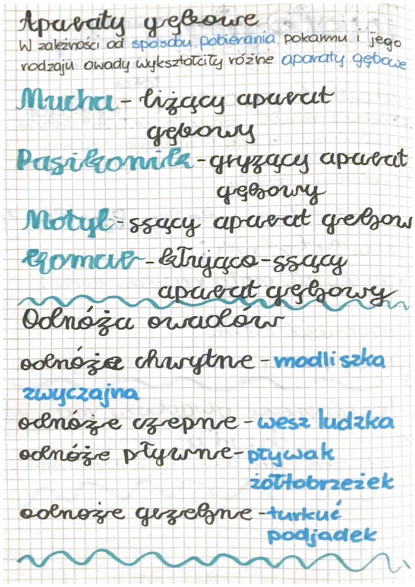 Corologica
Owady. +
stawonogi
zdolne do
lotu
miejsce zycia i wyylad
=> Większość owadów żyje na lądzie. Tylko niektore
nieliczne gatunki żyj