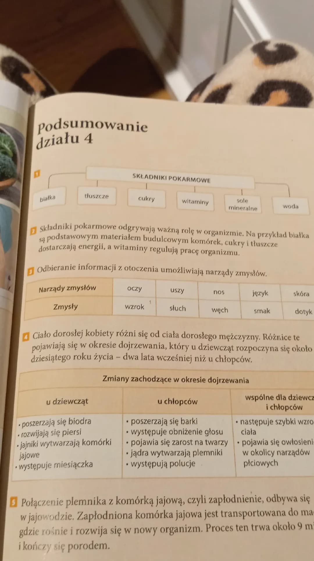 Przyroda klasa 4 dział 4