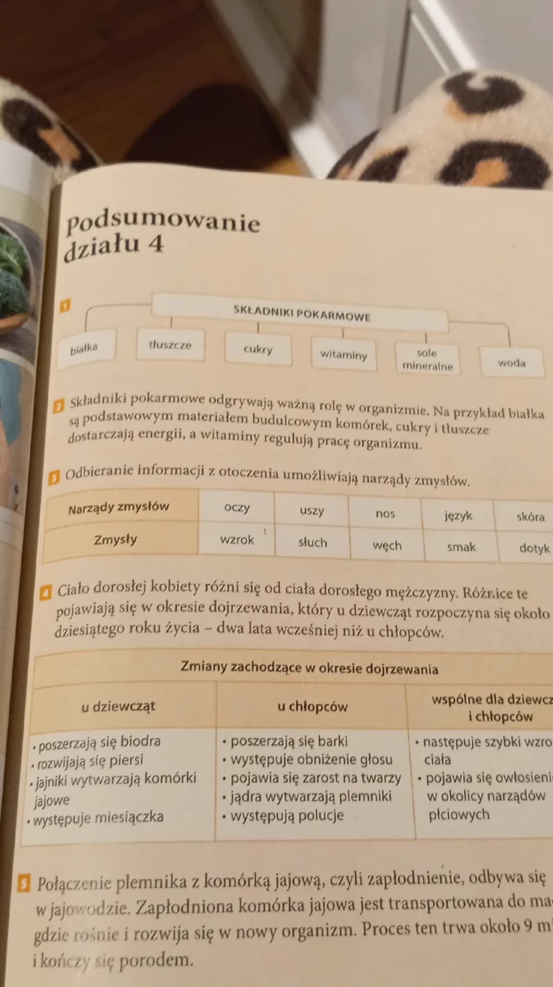 # Podsumowanie
działu 4

SKŁADNIKI POKARMOWE
białka
tłuszcze
cukry
witaminy
sole
mineralne
woda

1 Składniki pokarmowe odgrywają ważną rolę 