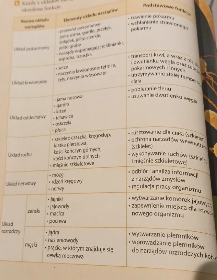 # Podsumowanie
działu 4

SKŁADNIKI POKARMOWE
białka
tłuszcze
cukry
witaminy
sole
mineralne
woda

1 Składniki pokarmowe odgrywają ważną rolę 