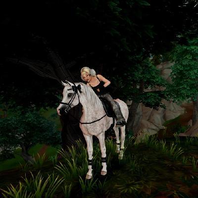 user profile picture