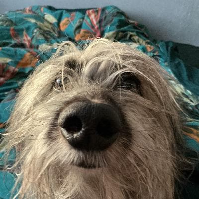 user profile picture