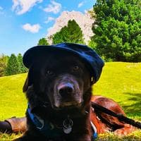 user profile picture