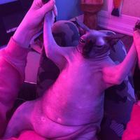 user profile picture