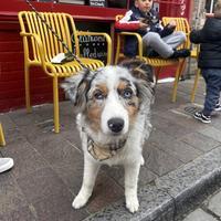 user profile picture