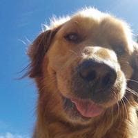 user profile picture