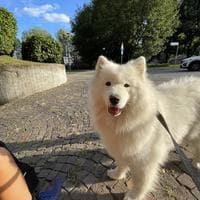 user profile picture