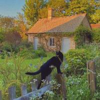 user profile picture