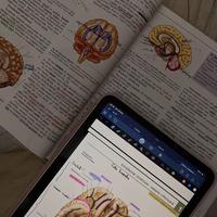 user profile picture