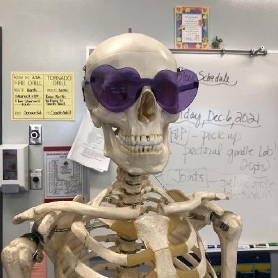 user profile picture