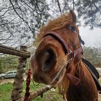 user profile picture