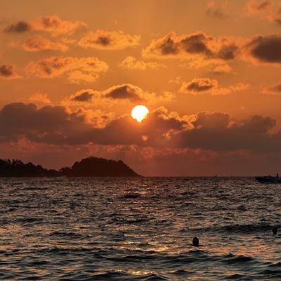 user profile picture