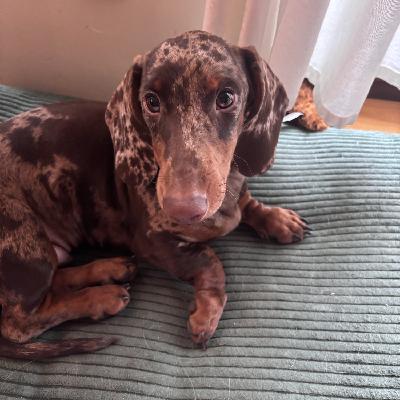 user profile picture