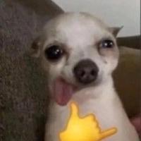 user profile picture