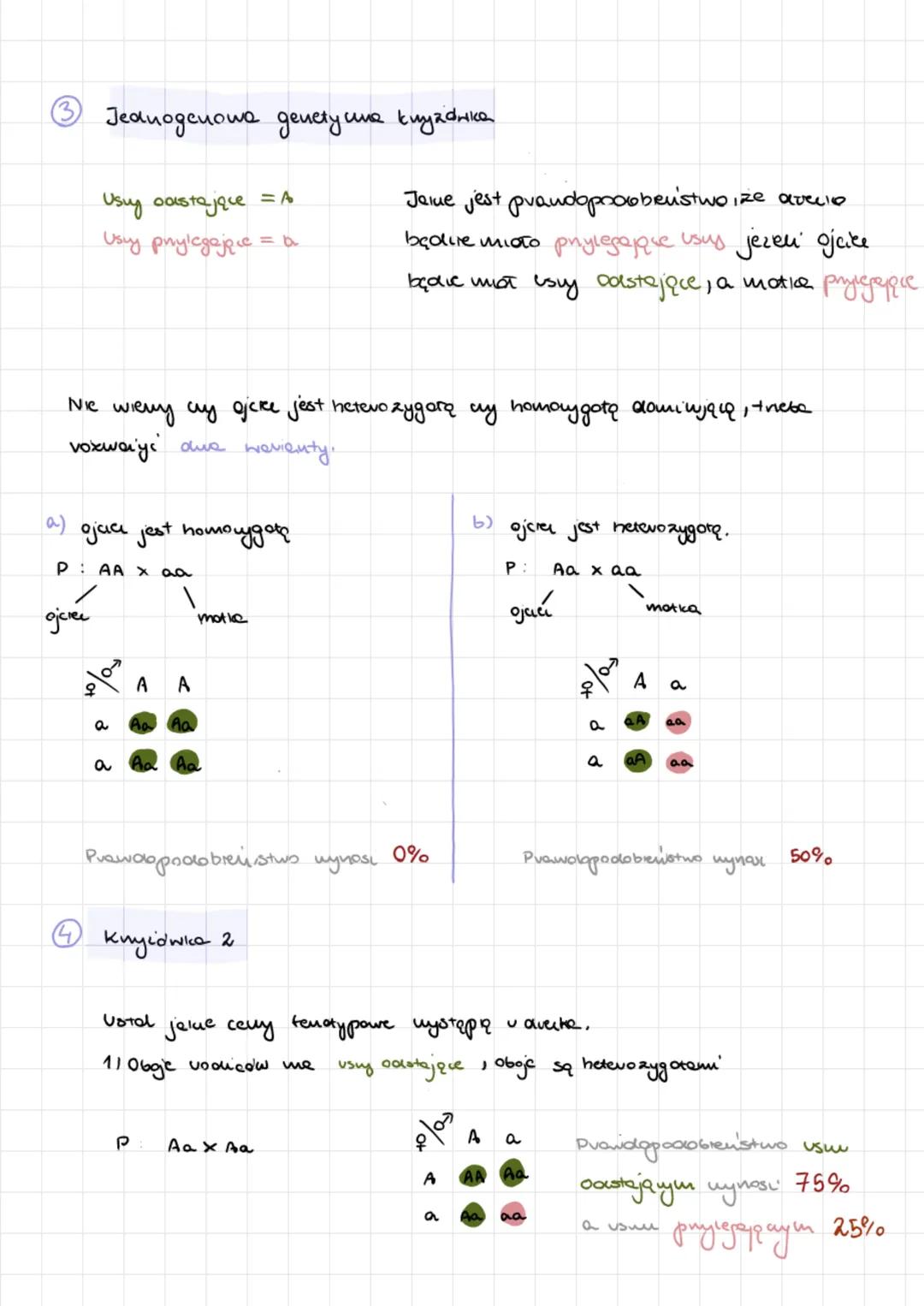 Gcuotyp-zespot wslystickich gendi ougomamu
Fenotyp widocuте сему огданіями
AA
Aucle- gawy występując
w wiele wersjach.
/
daniwjquy (A)
\