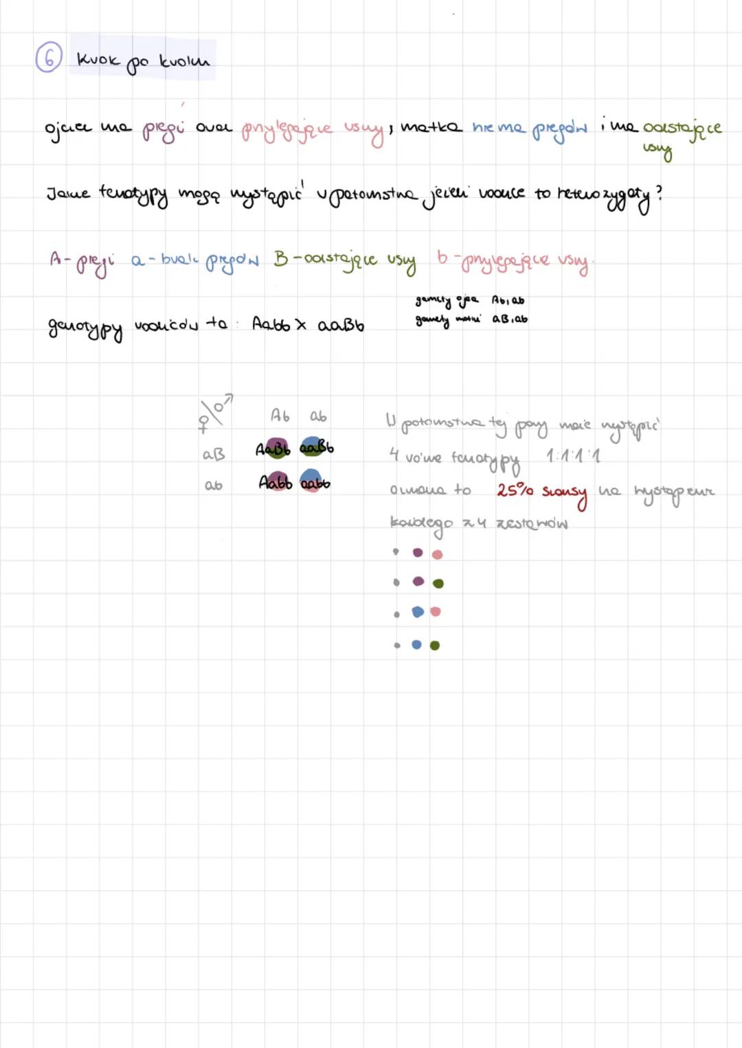 Gcuotyp-zespot wslystickich gendi ougomamu
Fenotyp widocuте сему огданіями
AA
Aucle- gawy występując
w wiele wersjach.
/
daniwjquy (A)
\