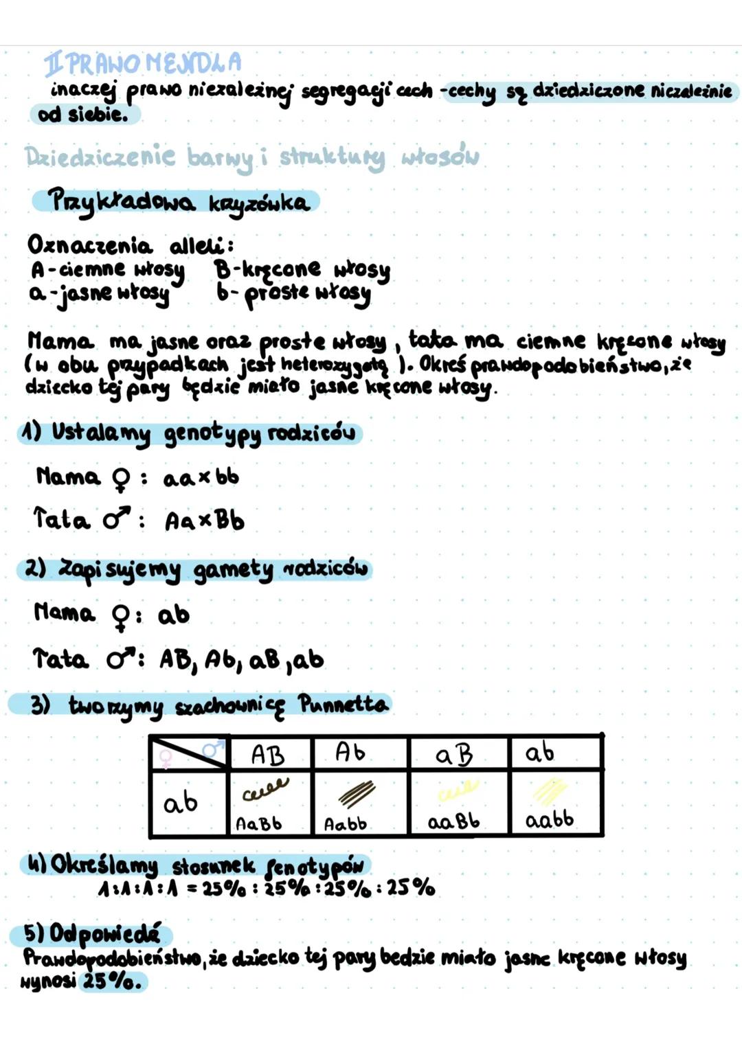 # I PRAWO MEJNDLA
inaczej prawo niezależnej segregacji cech -cechy są dziedziczone niezależnie
od siebie.
Dziedziczenie barwy i struktury w
