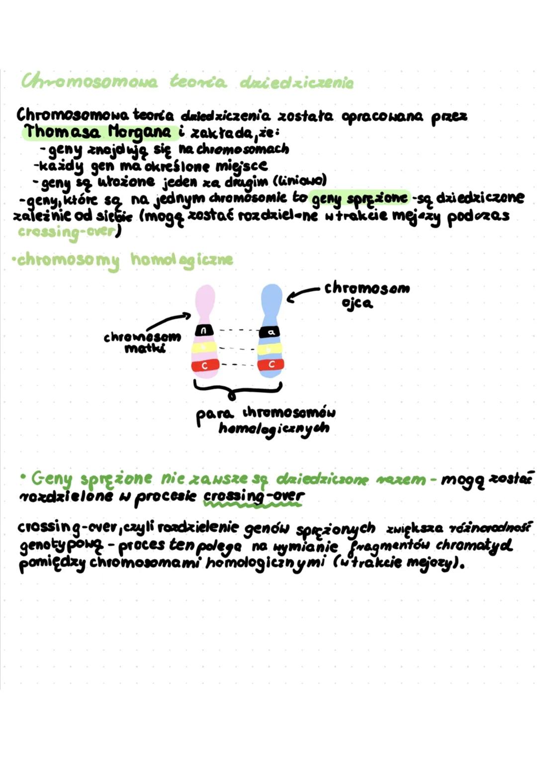 # Chromosomowa teoria dziedziczenia
Chromosomowa teoria dziedziczenia została opracowana przez
Thomasa Morgana i zakłada, że:
-geny znajduj