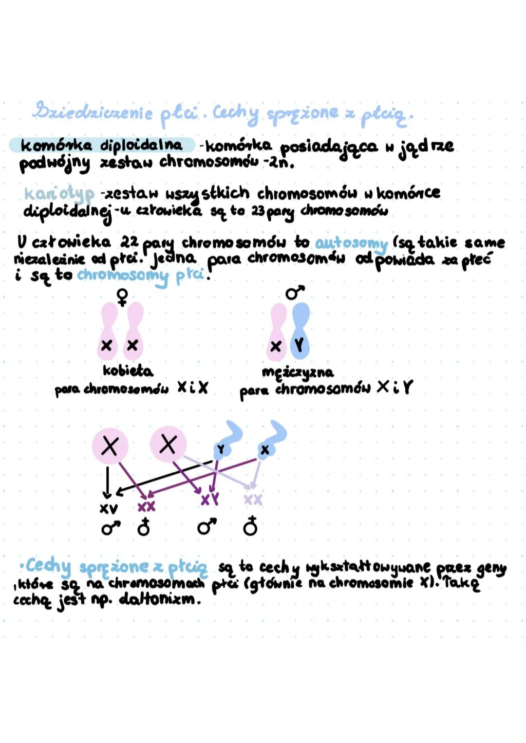 Dziedziczenie płci. Cechy sprężone z płcią.