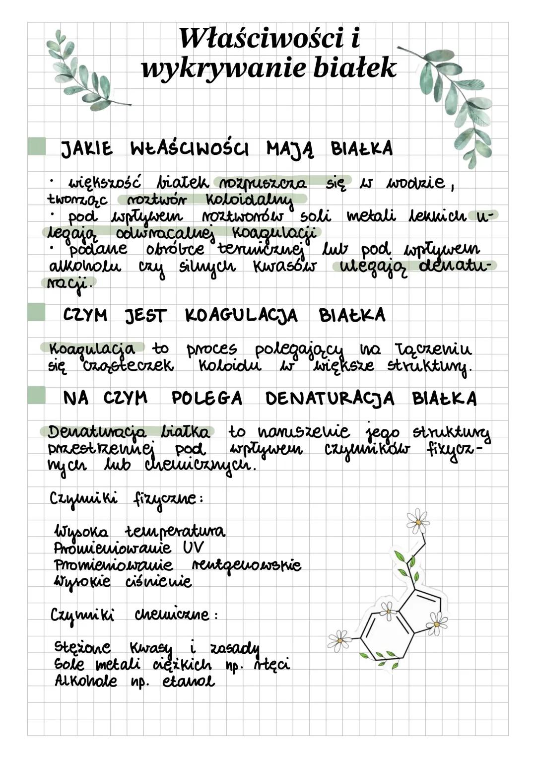 Właściwości i wykrywanie białek