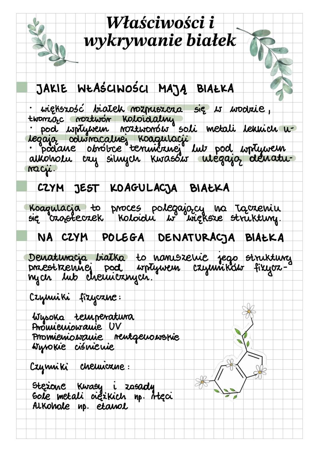 Właściwości i
wykrywanie białek
JAKIE WŁAŚCIWOŚCI MAJĄ BIAŁKA
większość białek rozpuszcza się w wodzie,
tworząc roztwór koloidalny
pod wpływ