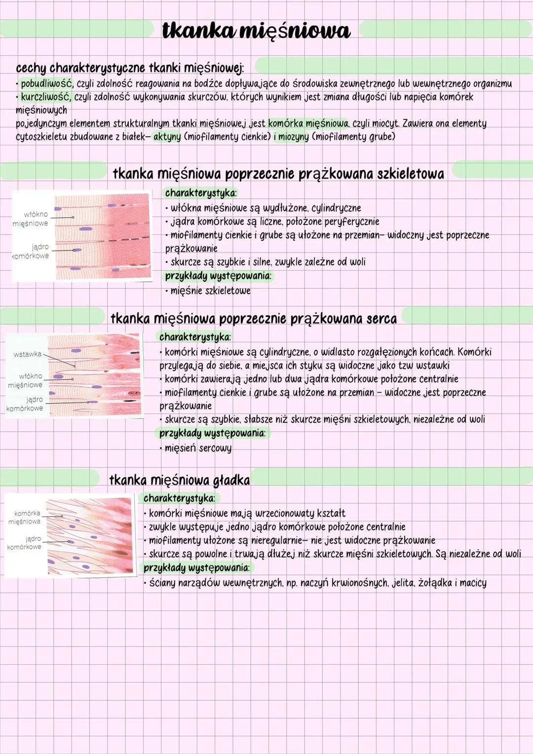 tkanki zwierzęce- tkanka mięśniowa