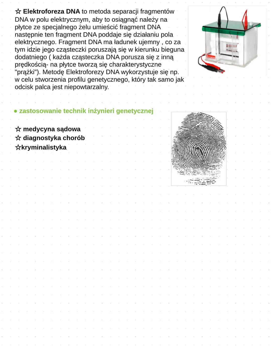 Podstawowe techniki inżynierii genetycznej
●Inżynieria genetyczna to jedna dziedzin
naukowych- zajmuje się opracowaniem.
metod oraz technik,