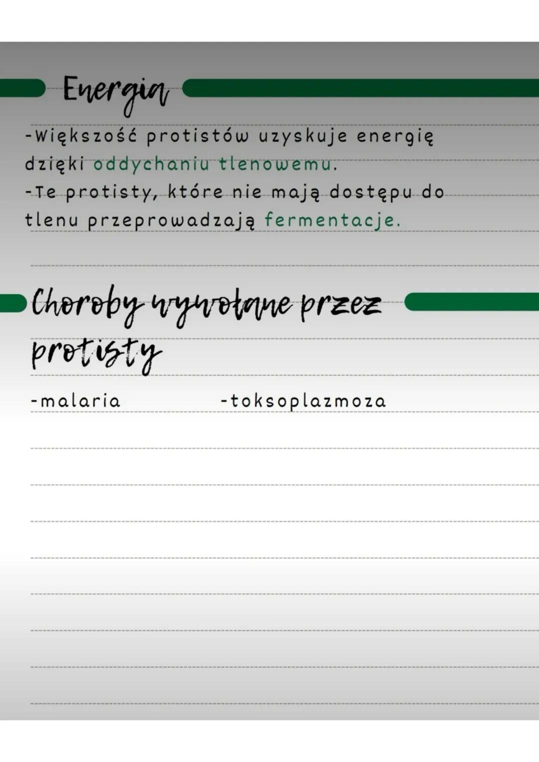 # Różnorodność
protistów
Występowanie
W niemal wszystkich miejscach na ziemi.
-Większość jednak żyje w wodzie lub w
wilgotnych miejscach.