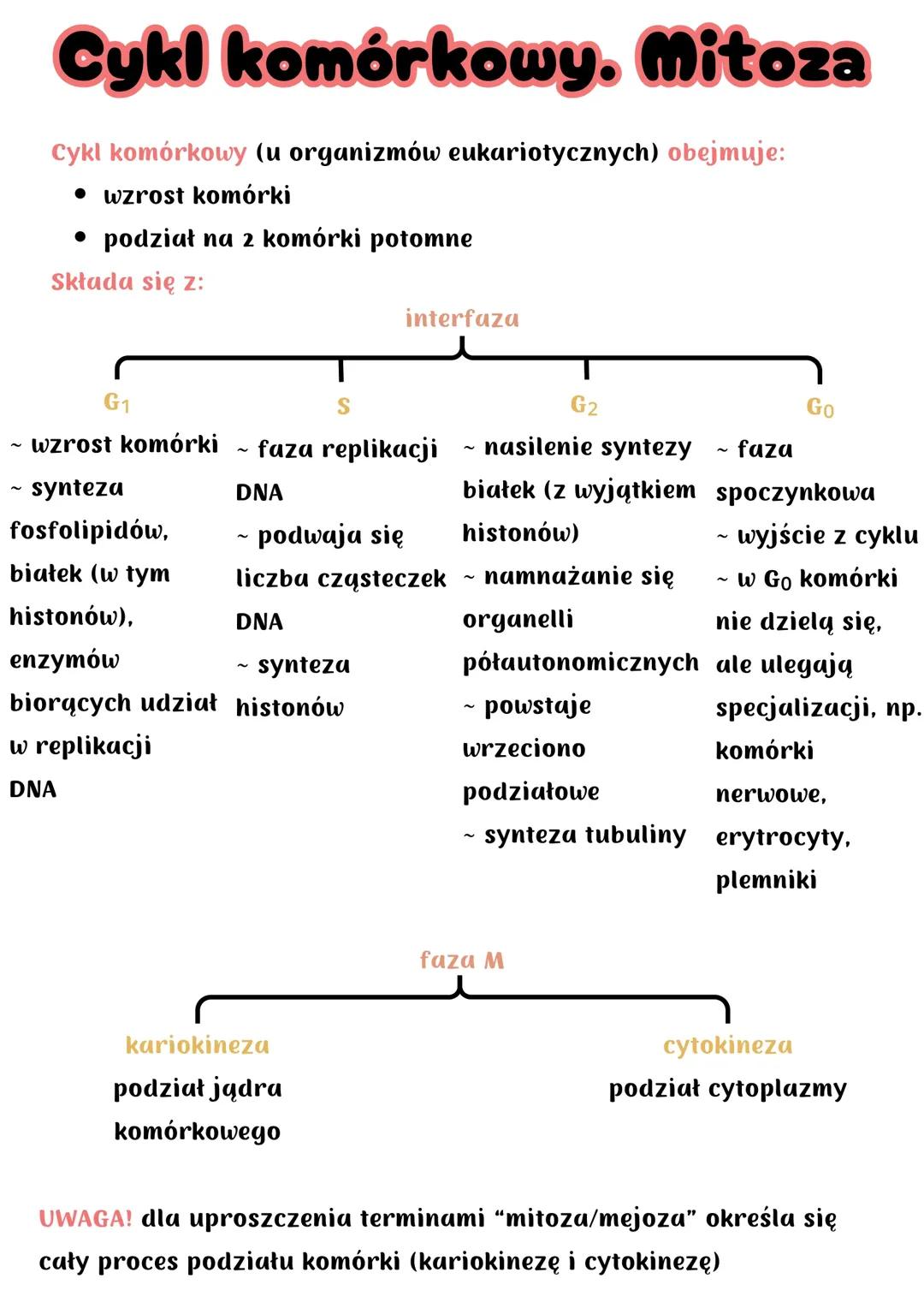 Cykl komórkowy. Mitoza