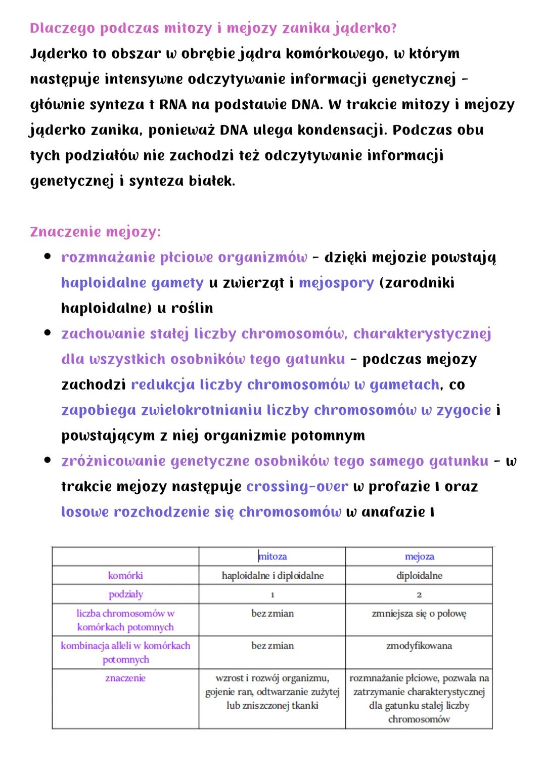 # Mejoza
Podział redukcyjny - w jej wyniku powstają 4 komórki haploidalne
o zredukowanej o połowę liczbie chromosomów
Zachodzi wyłącznie u