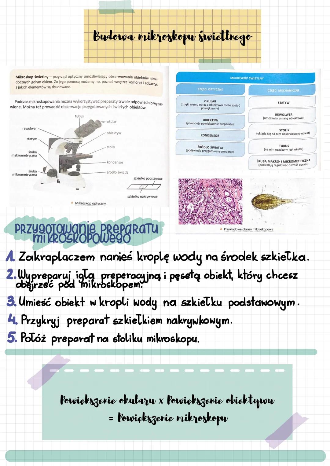 # Metody badawcze w
biologii
## Przebieg doświadczenia
SFORMUŁOWANIE PROBLEMU BADAWCZEGO
Problem może mieć formę pytania rozpoczynającego