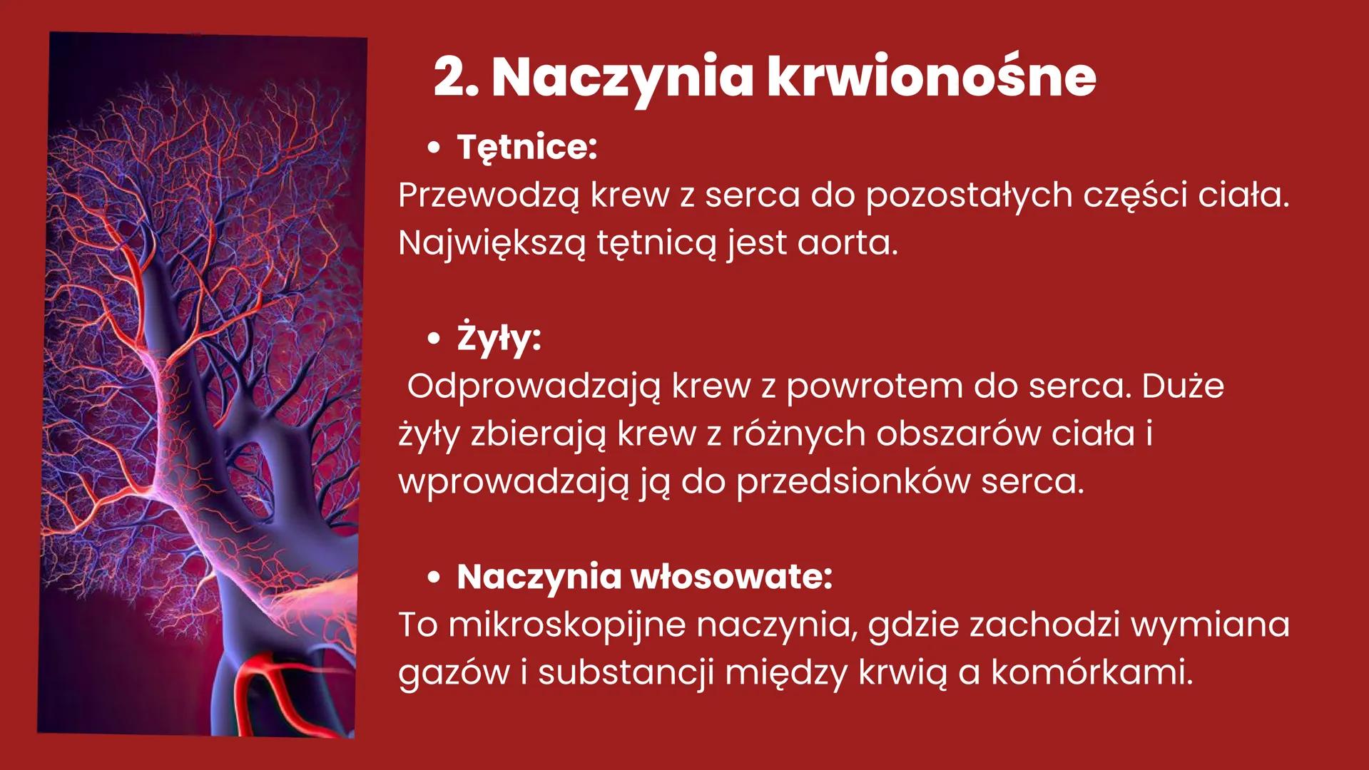 CHOROBY UKŁADU
KRĄŻENIA + Układ krążenia - definicja
Układ krążenia, znany również jako układ
sercowo-naczyniowy, to złożony system
biologic