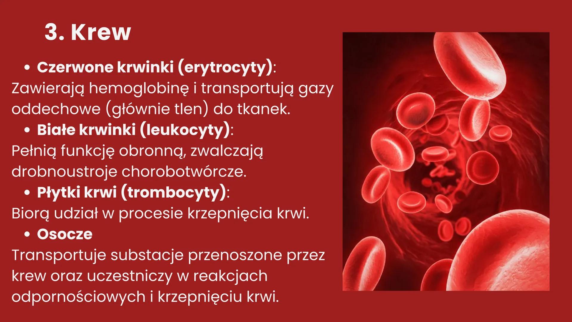CHOROBY UKŁADU
KRĄŻENIA + Układ krążenia - definicja
Układ krążenia, znany również jako układ
sercowo-naczyniowy, to złożony system
biologic