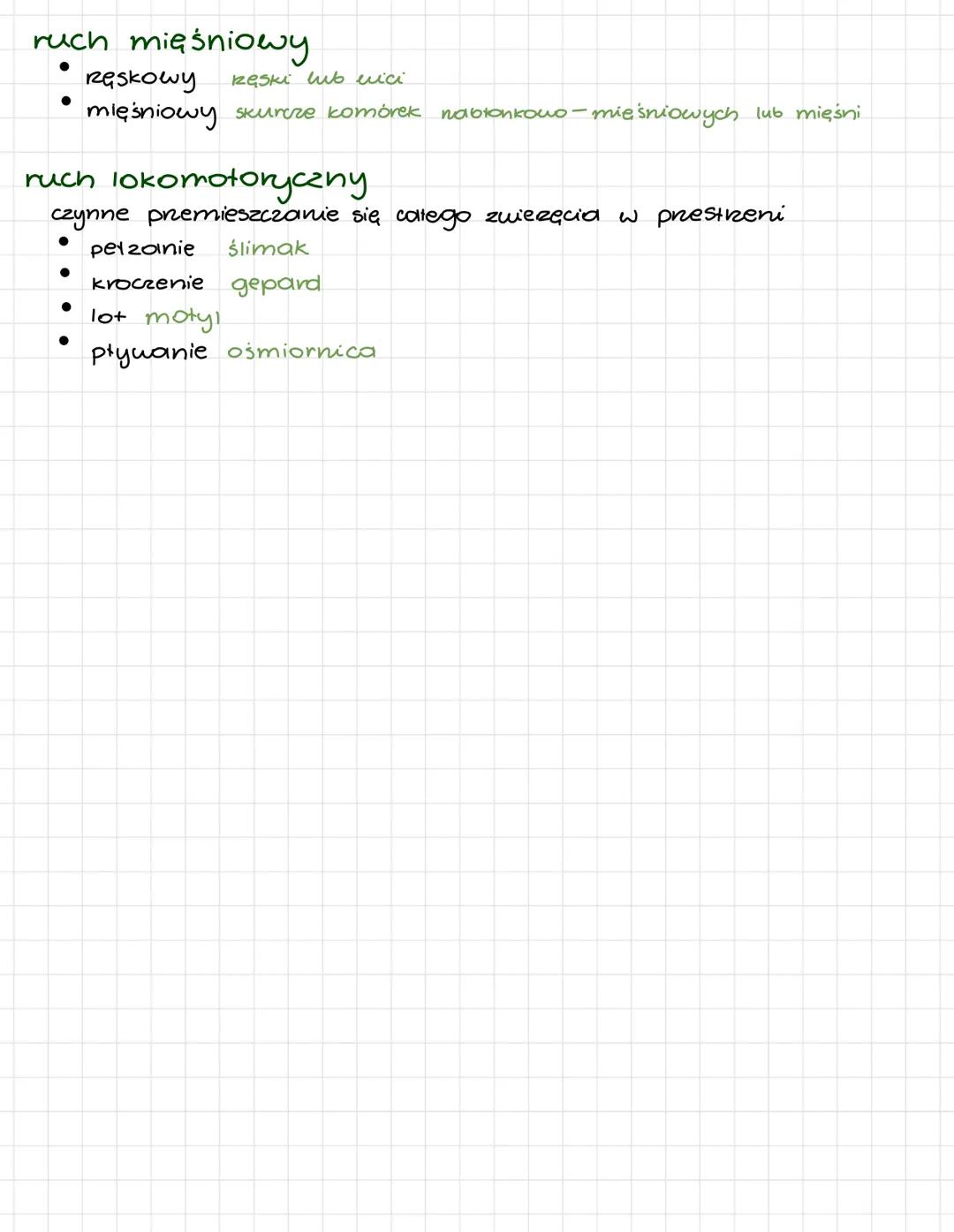 cechy
pobudliwość
kurczliwość
komórka mięśniowa (miocyt)
zawiera podstawowe organella
posiada elementy cytoszkieletu 2 budowane z aktyny i
m