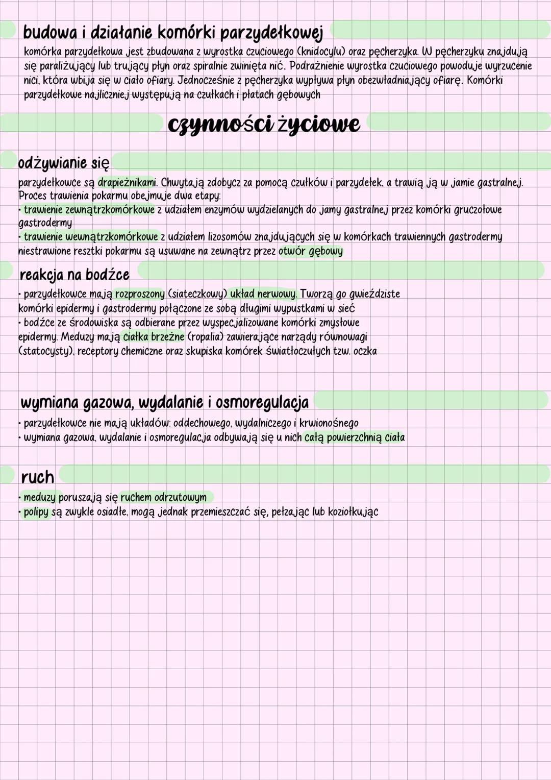# parzydełkowce
## charakterystyka
•parzydełkowce (cnidaria) to zwierzęta tkankowe, dwuwarstwowe, o symetrii promienistej
• w ścianie ciała