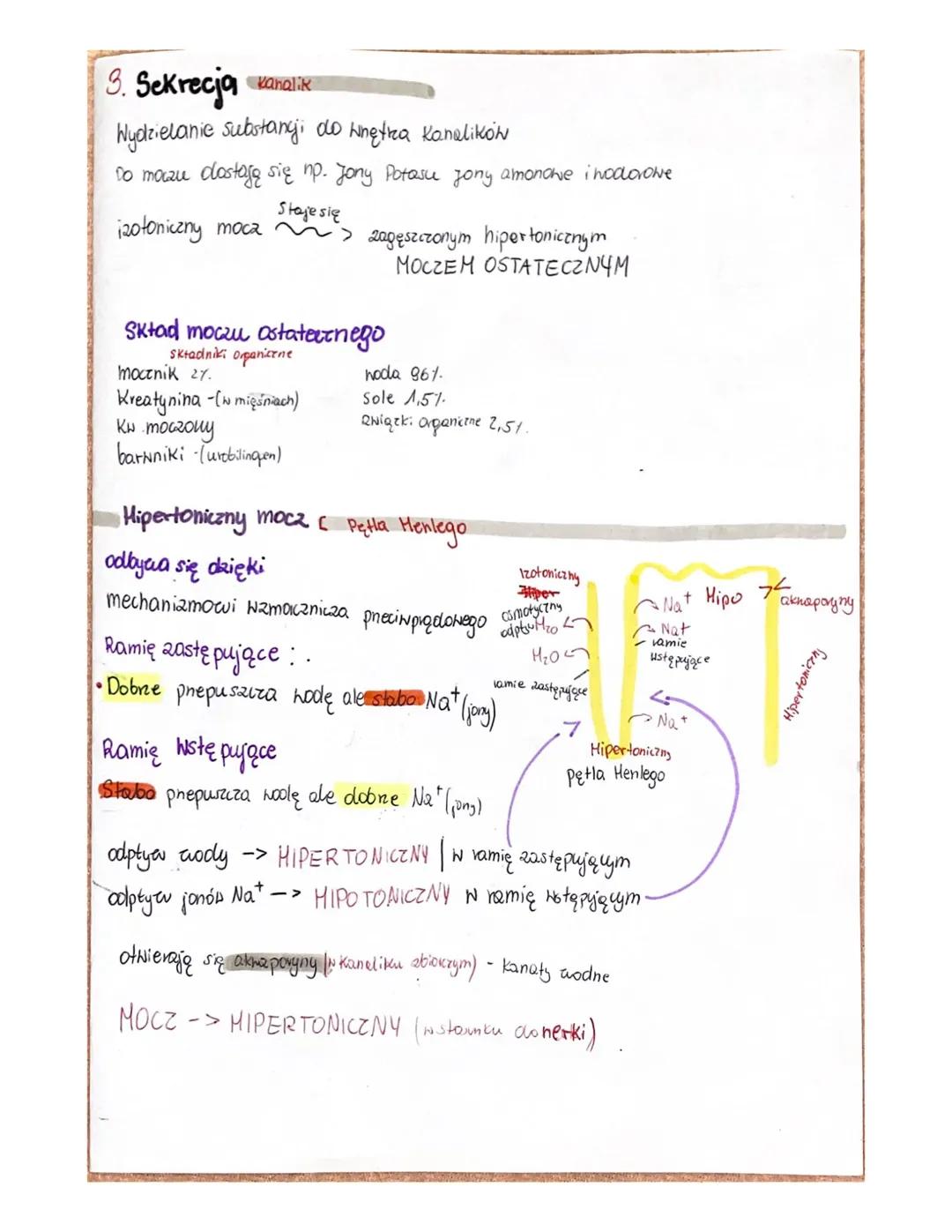 nerki, skóra
Uktad
тосгону
1
herki moczowody pęcher moczony, CeNka moczowa
Wydalanic produktów premiany materii
Mocanik
e
Krew
AMONIAK
Turob