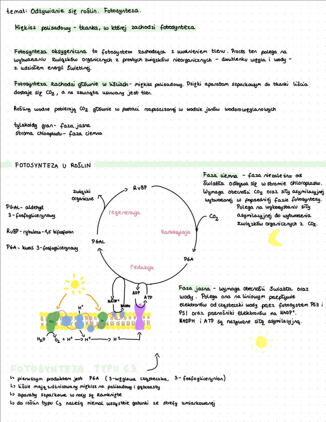 # temat: Odżywianie się roślin. Fotosynteza.
Miękisz polisadowy - tkanka, w której zachodzi fotosynteza
Fotosynteza oksygeniczna to fotosy