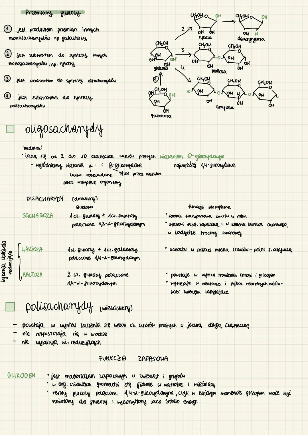 chemiczne
podstawy życia
woda - transportije substancje, wraz z nią usuwane są szkodliwe i niepotrzebne związki,
Utrzymuje prawidłowa temper