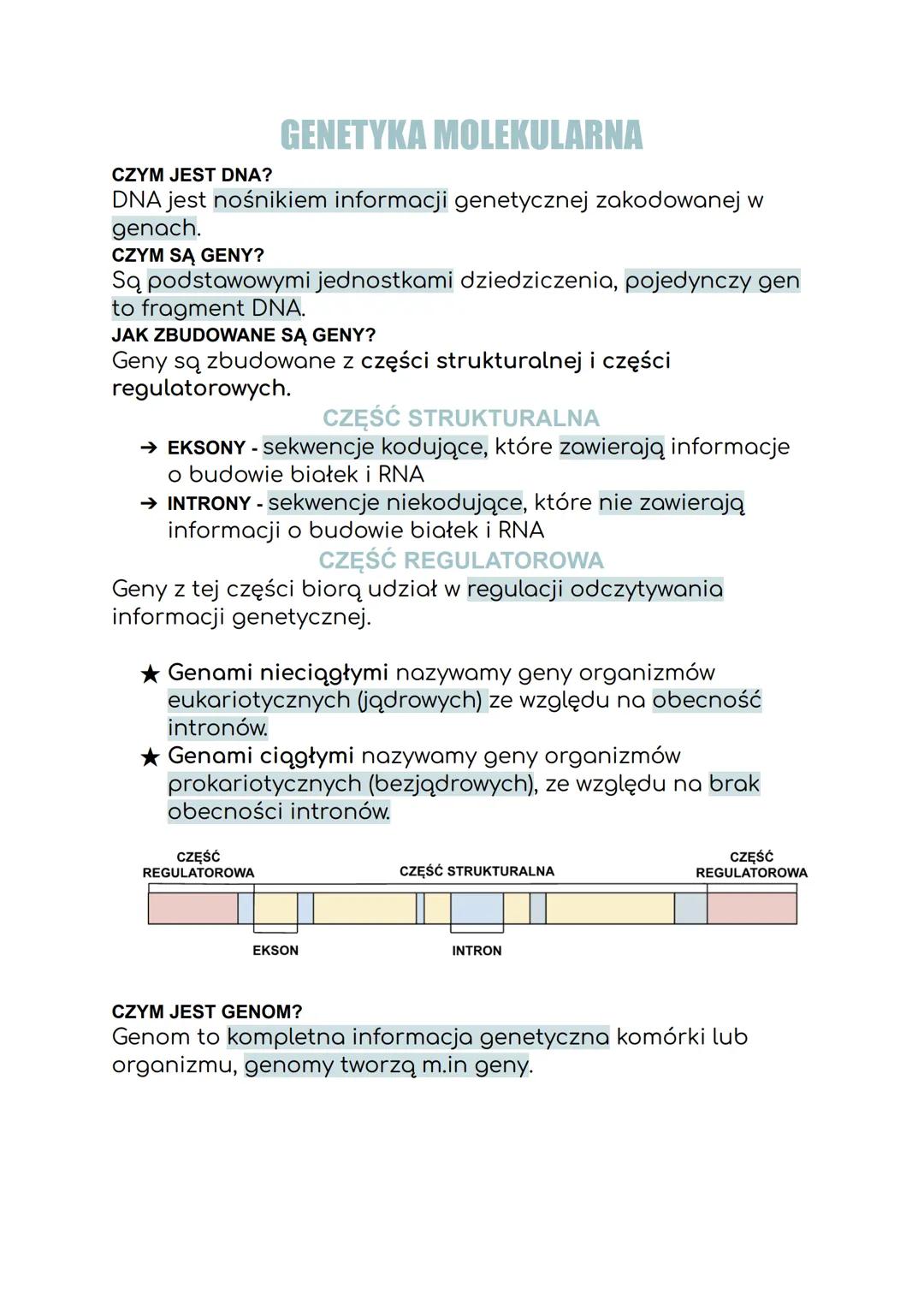 CZYM JEST DNA?
GENETYKA MOLEKULARNA
DNA jest nośnikiem informacji genetycznej zakodowanej w
genach.
CZYM SĄ GENY?
Są podstawowymi jednostkam