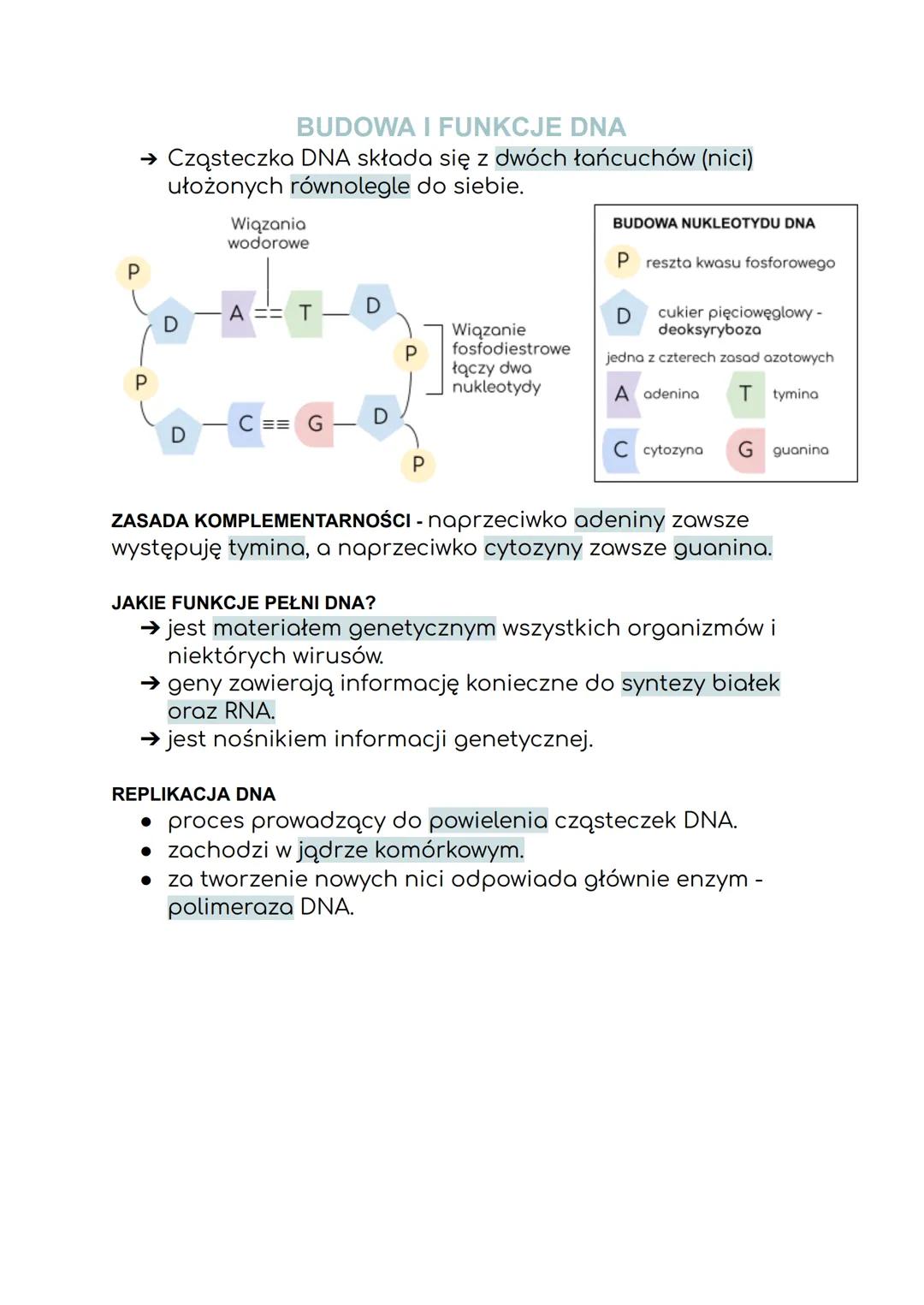 CZYM JEST DNA?
GENETYKA MOLEKULARNA
DNA jest nośnikiem informacji genetycznej zakodowanej w
genach.
CZYM SĄ GENY?
Są podstawowymi jednostkam