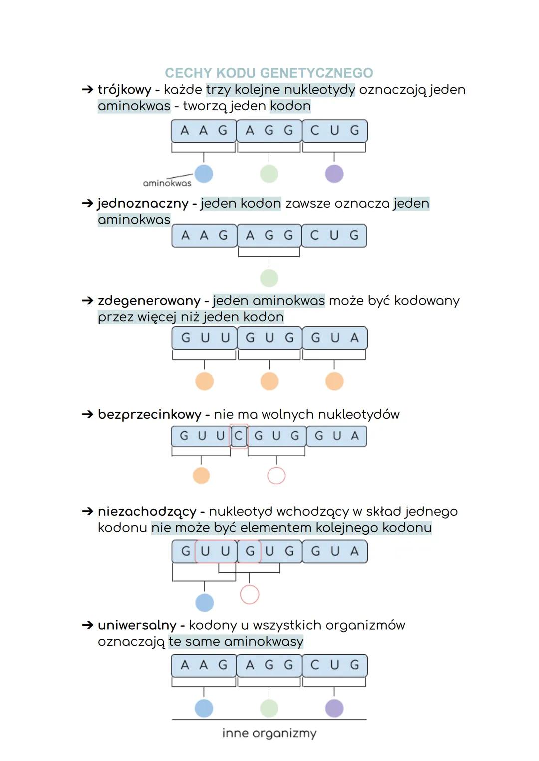 CZYM JEST DNA?
GENETYKA MOLEKULARNA
DNA jest nośnikiem informacji genetycznej zakodowanej w
genach.
CZYM SĄ GENY?
Są podstawowymi jednostkam