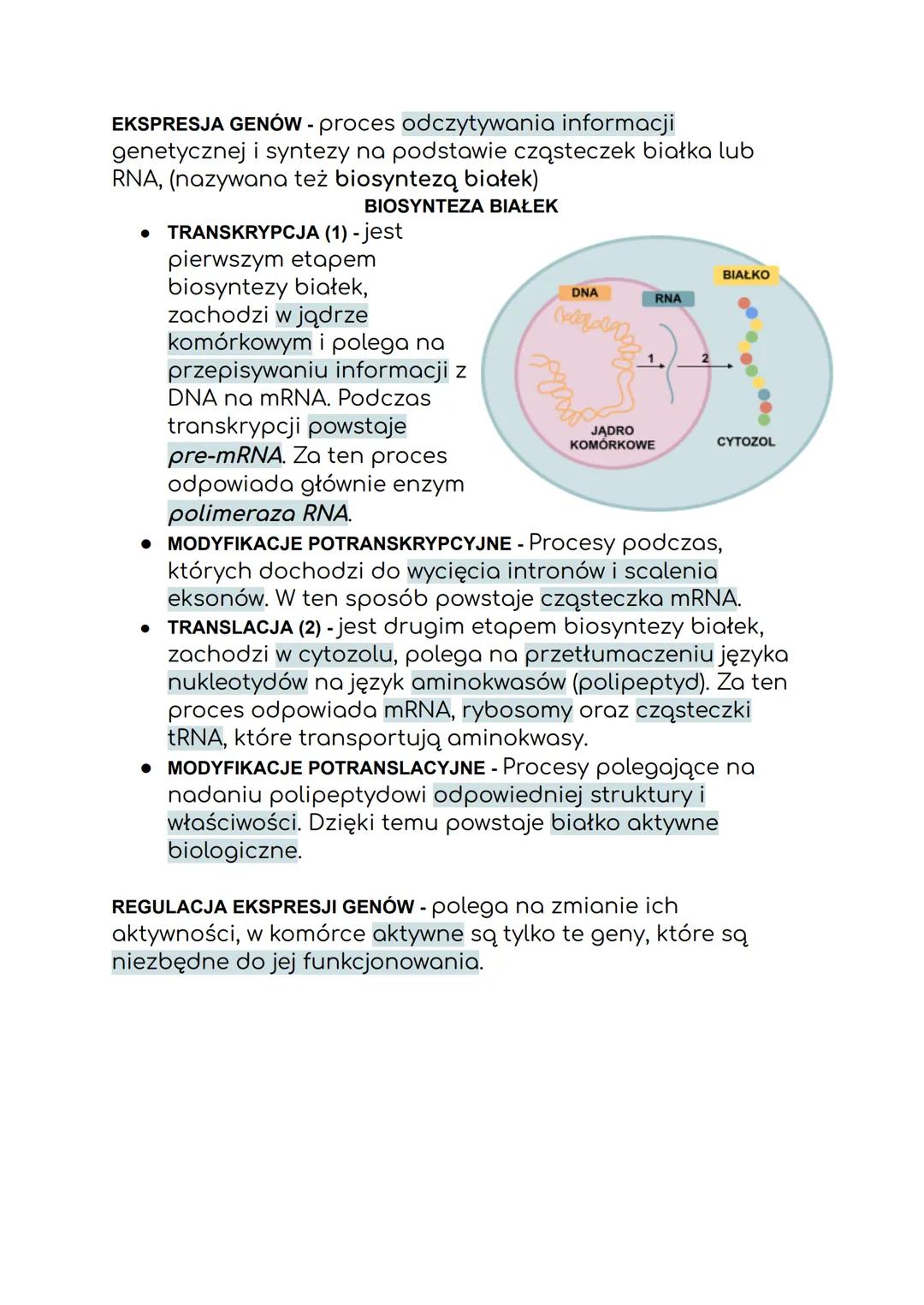 CZYM JEST DNA?
GENETYKA MOLEKULARNA
DNA jest nośnikiem informacji genetycznej zakodowanej w
genach.
CZYM SĄ GENY?
Są podstawowymi jednostkam