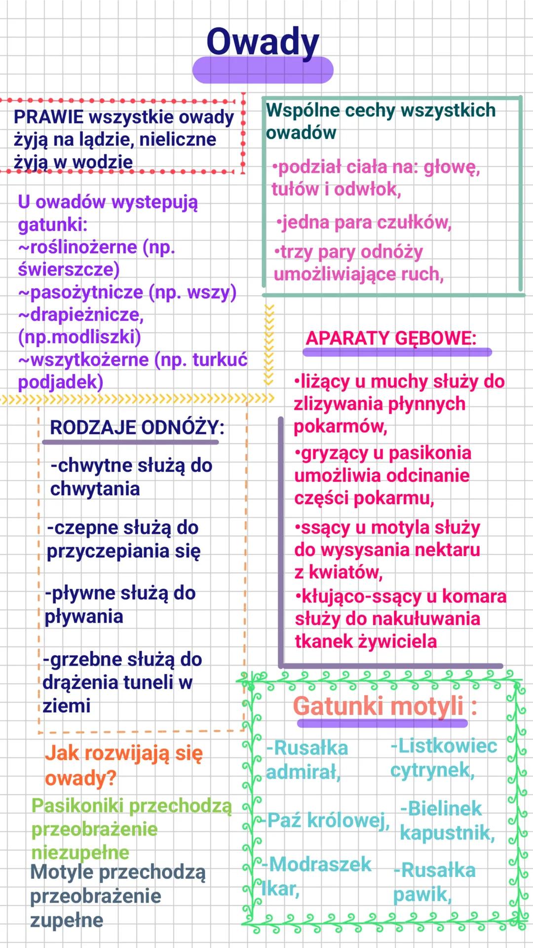 OWADY-STAWONOGI ZDOLNE DO LOTU