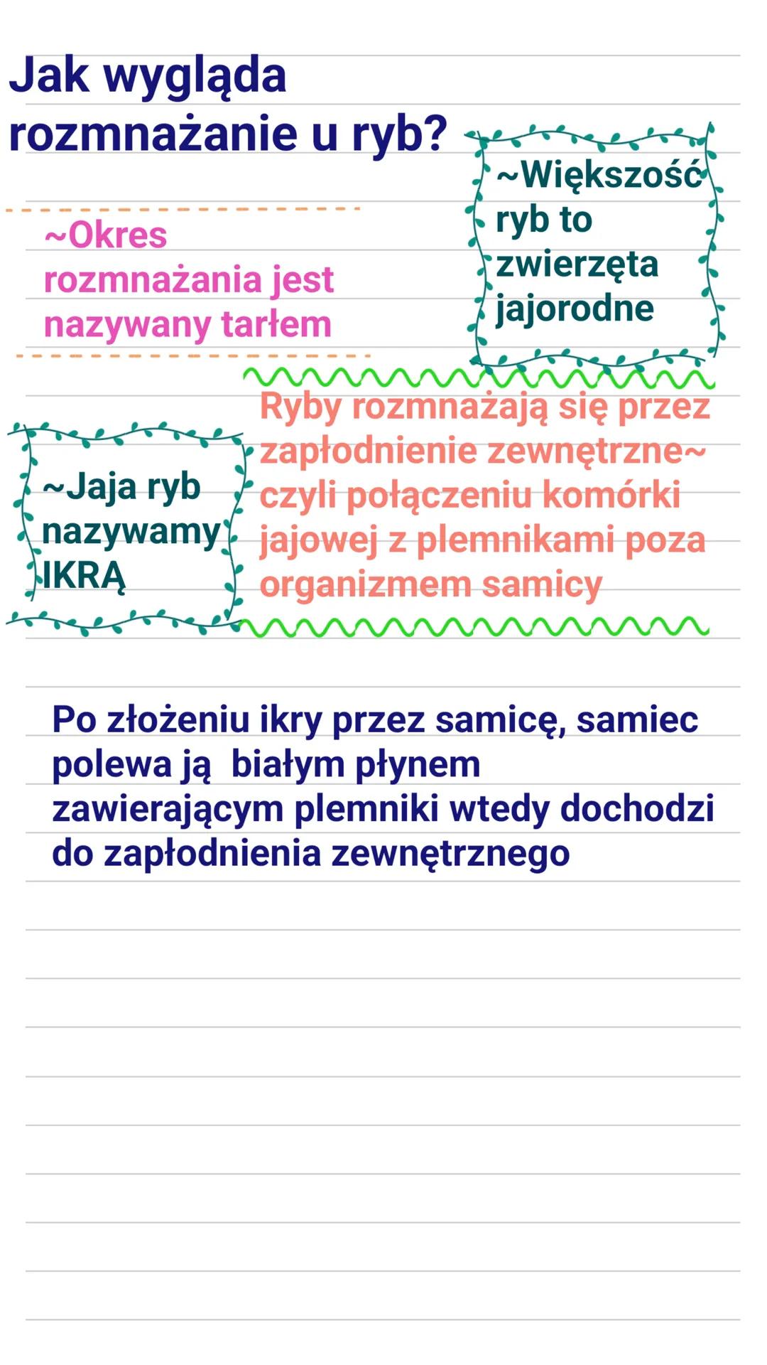 ~Ryby żyją we
RYBY
wszystkich typach
środowisk wodnych i
we wszystkich
częściach zbiornikach
wodynych
~Ryby oddychają za
pomocą SKRZELI
Rodz