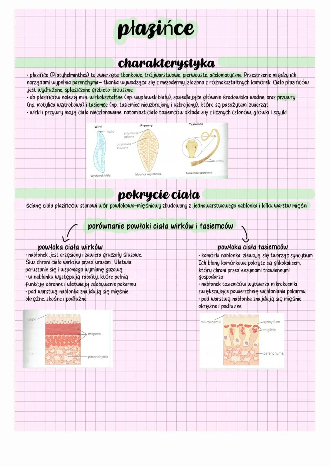 Płazińce