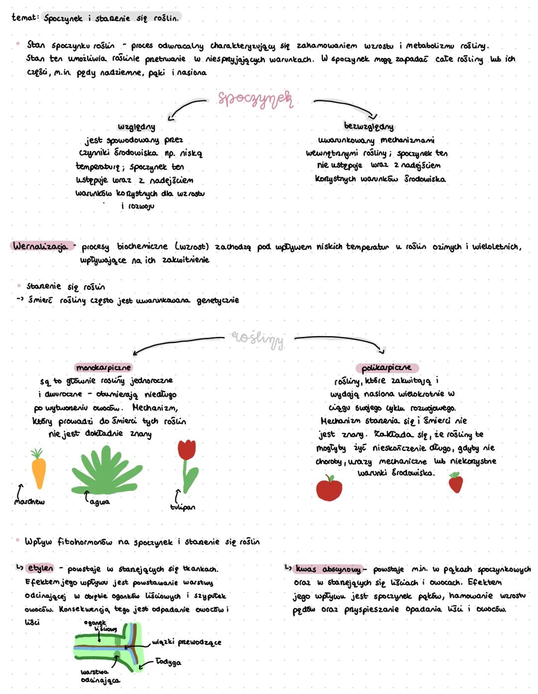 temat: Spoczynek i starenie się roślin.
Stan spoczynku roślin - proces odwracalny charakteryzujący się zahamowaniem wzrostu i metabolizmu ro