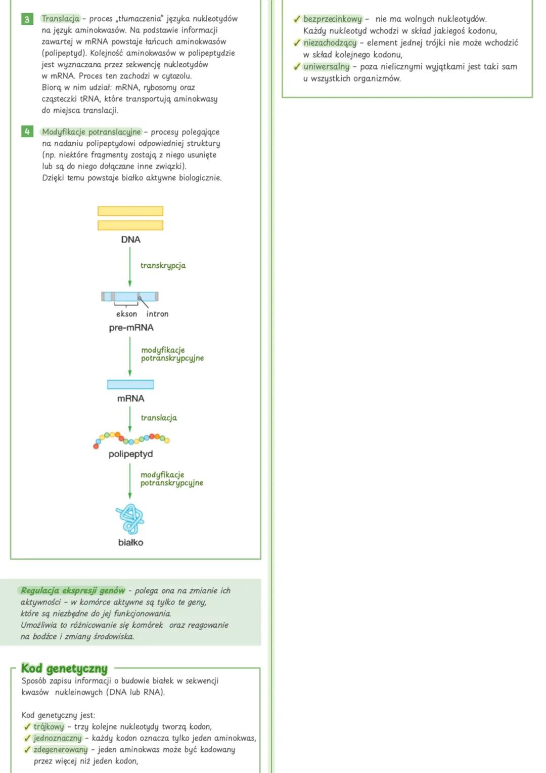 Podsumowanie działu:
# 1 GENETYKA MOLEKULARNA
---
# DNA I RNA
Są to kwasy nukleinowe zbudowane z nukleotydów
polączonych wiązaniami fosfod
